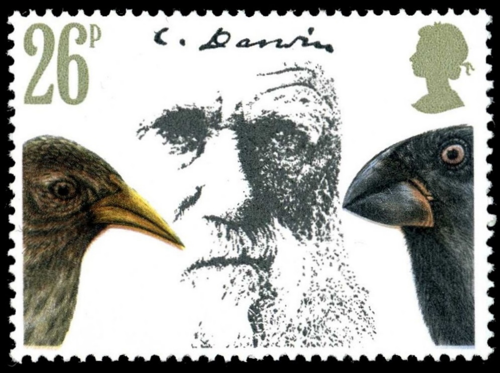 Charles Darwin with two finches from the Galapagos islands on stamp of UK 1982