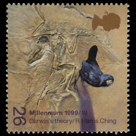 The 26p First Class stamp, "Darwin's theory", was designed by the wildlife artist Ray Harris Ching. A bird stands next to a limestone fossil of Archaeopteryx, the first known bird, from which it evolved.