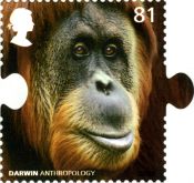 Orang-utan on stamp of UK 2009
