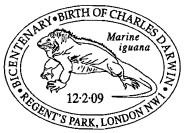 Postmark illustrated with marine iguana