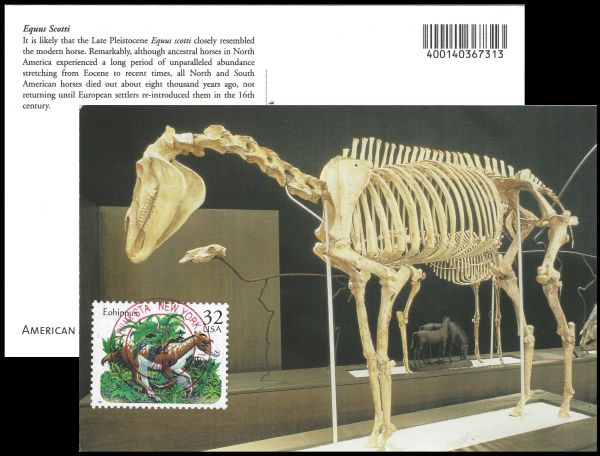 Prehistoric hourse Eohippus on stamp of USA 1996 Prehistoric hourse Eohippus on stamp of USA 1996