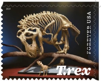 Skeletons of Tyrannosaurus rex and young Triceratops on stamp of USA 2019