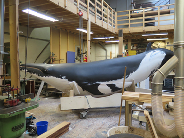 Nehalaennia devossi whale reconstruction created by Dutch sculptor Remie Bakker