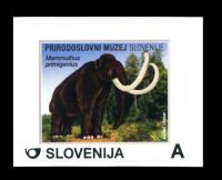 Slovenia 2013 "75 years since discovery of a mammoth's fossils in Nevlje by Kamnik", issued by Natural History Museum of Slovenia in Ljublijana