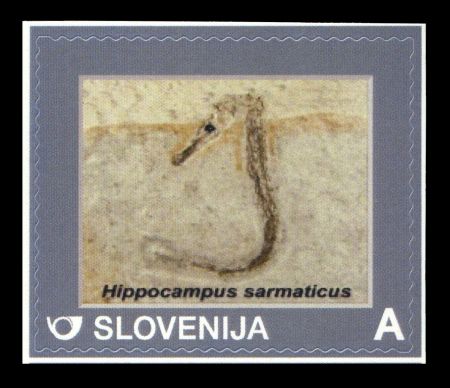 stamp of Slovenia 2014 - Discovery of sea-horse fossil at Kamnik–Savinja Alps