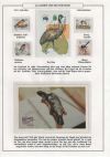 Page27 of Darwin and evolution exhibition of Jos van den Bosch