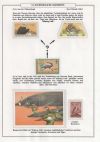 Page59 of Darwin and evolution exhibition of Jos van den Bosch