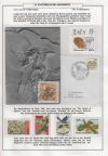 Page60 of Darwin and evolution exhibition of Jos van den Bosch