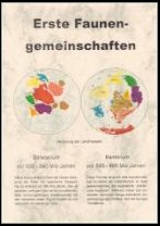 Darwin and Evolution  philatelic exhibit