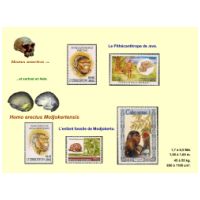 Page29 of The Evolution Of Prehistoric Men - exhibit of Dominique ROBILLARD 