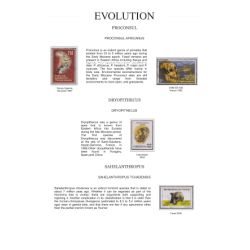 Page 02 of Human evolution ehibit of Mr. Fernando Muoz
