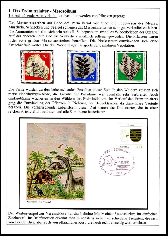 Page07 of Ammoniten exhibit of Mr. Rudolf Hofer