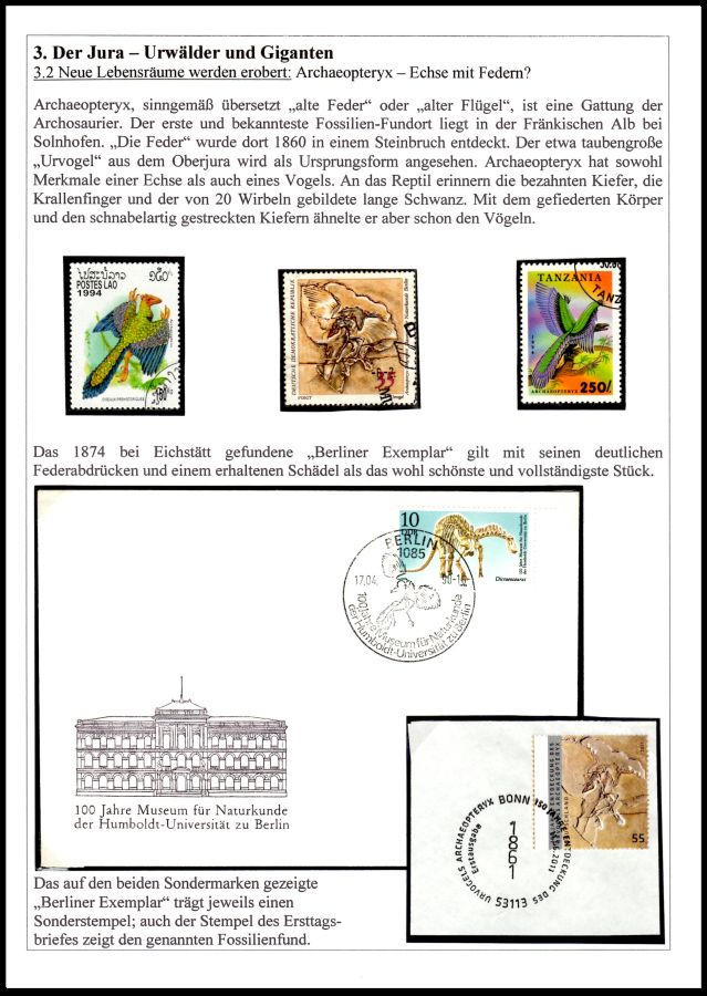 Page16 of Ammoniten exhibit of Mr. Rudolf Hofer