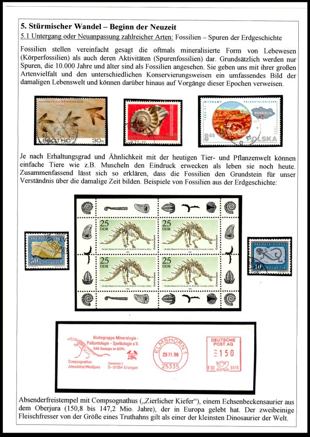 Page22 of Ammoniten exhibit of Mr. Rudolf Hofer
