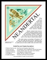 Neandertal philatelic exhibit