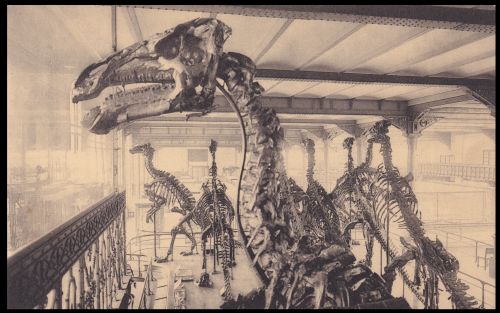 Iguanodon bernissartensis, in collection of the Natural History Museum on postcard of Austria 1927