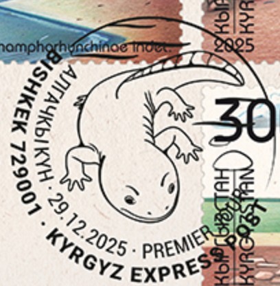 Kokartus honorarius on stamp of Kyrgyzstan 2025 Kokartus honorarius on stamp of Kyrgyzstan 2025