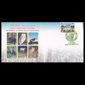 Stegodon fossil on cachet of  Biodiversity in Shivalik Hills of Saharanpur commemorative cover of India 2020