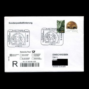 FDC of germany_2006_pm03_fdc_used