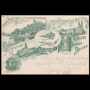Ichthyosaur, pterosaur and other fossil of postcard of Germany 1897
