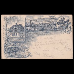 Ichthyosaur, pterosaur and other fossil of postcard of Steffelstein 1908