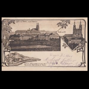 Ichthyosaur, pterosaur and other fossil of postcard of Germany 1913