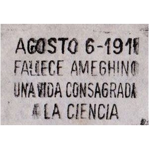Death anniversary of famous paleontologist Florentino Ameghino on postmark of Argentina 1961