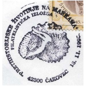 Ammonite on postmark of Croatia 1995