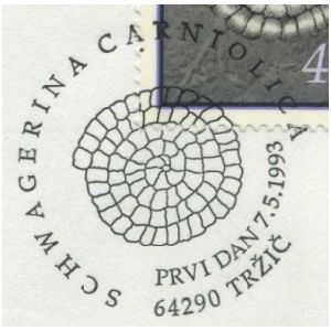 Foraminifera Fossil Schwagerina carniolica on commemorative postmark of Slovenia 1993