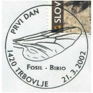 Fossil Insect from the Oligocene on commemorative postmark of Slovenia 2002