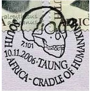 Skull of Taung man on commemorative postmark of South Africa 2006
