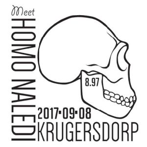 Skull of Homo naledi on commemorative postmark of South Africa 2017