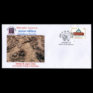 FDC of india_2015_pm_used