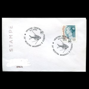 FDC of italy_2000_pm_used