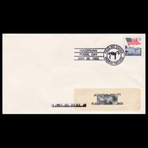 FDC of usa_1993_pm3_used