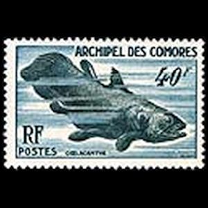 Latimeria chalumnae fish on stamps of  Comor islands 1954