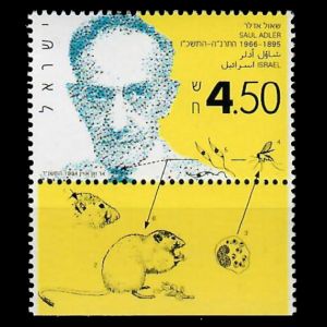 Saul Adler on stamp of Israel 1994