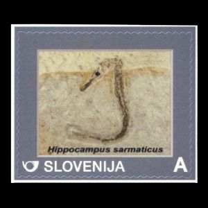 Sea horse fossil on peersonalized stamp of Slovenia 2014
