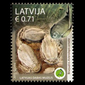 Placodermi prehistoric Devonian fish on stamp of Latvia 2015