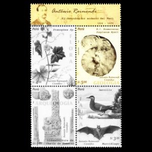 Antonio Raimondi, Italian naturalist and Ammonite on stamps of Peru 2005