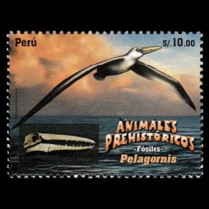 Fossil and reconstruction of Pelagornis on stamp of Peru 2017