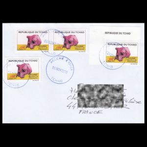 FDC of chad_2005-2018_env_used2