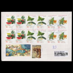 Saber-toothed tiger stamps of Turkey 2026 on used cover Saber-toothed tiger stamps of Turkey 2026 on used cover