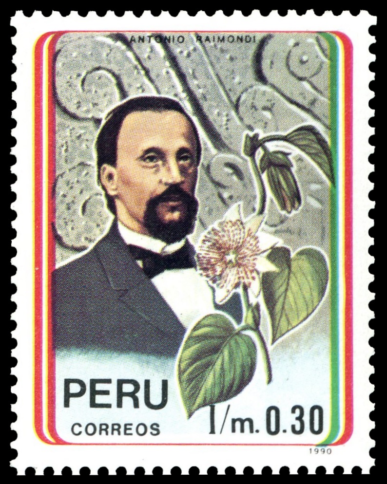 Antonio Raimondi on stamp of Peru 1992