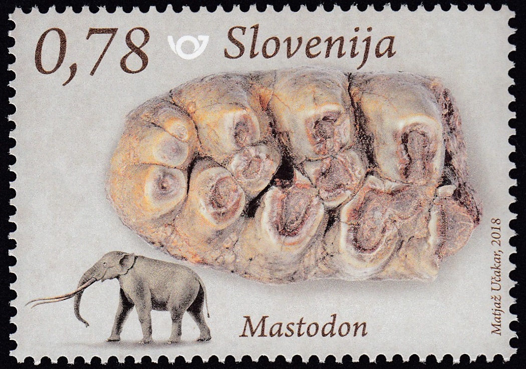 Anancus arvernensis on stamp of Slovenia 2018