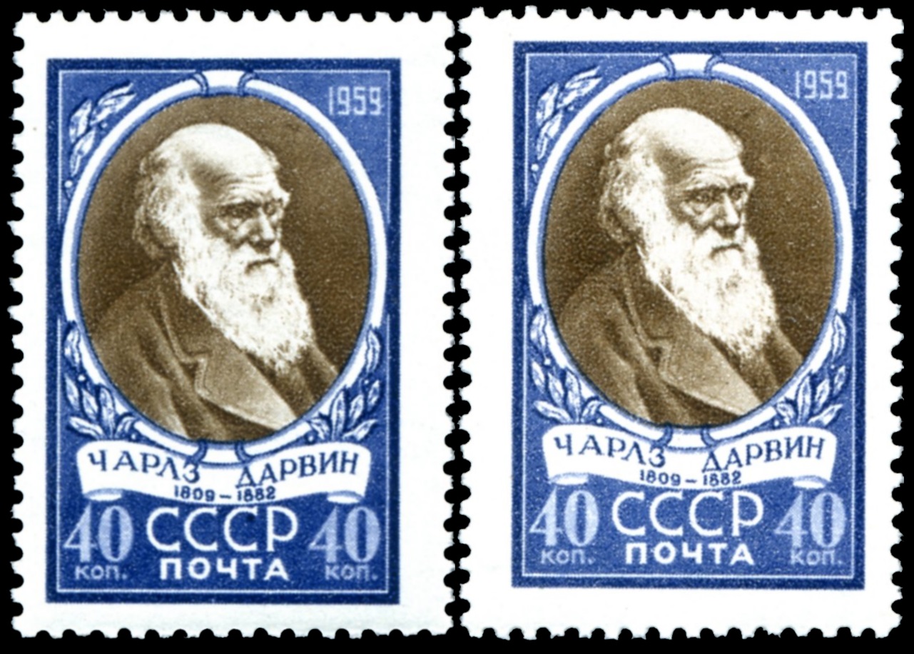 Image shift on Darwin stamp of USSR 1959