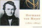 Hermann von Meyer