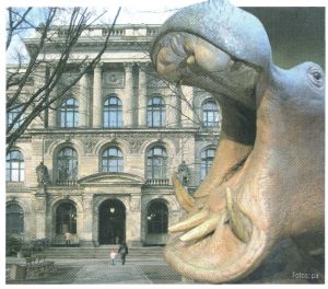 Entrance of the Museum of Natural Science in Berlin, on the cachet of German FDC 2010