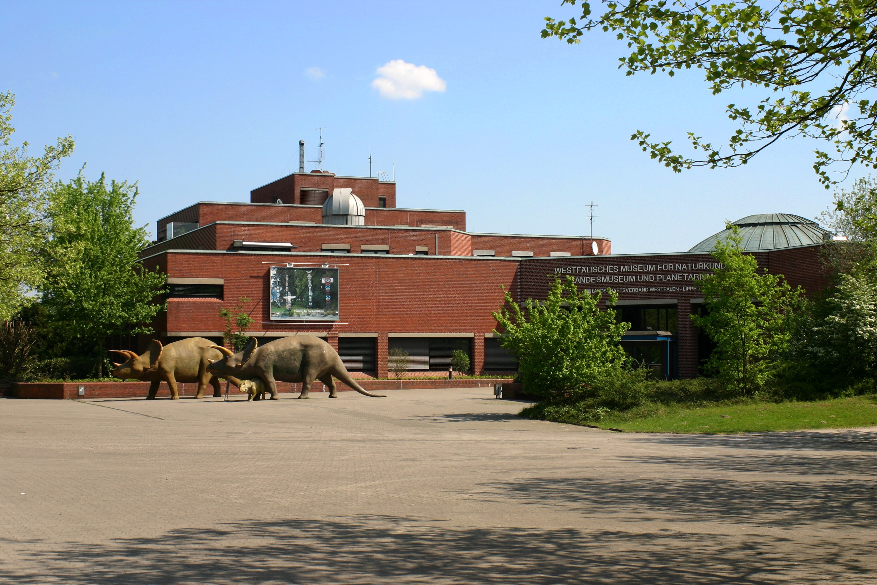LWL-Museum of Natural History Westphalian State Museum