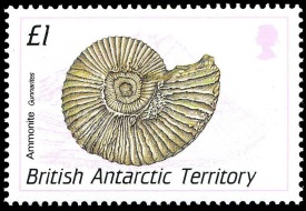 Ammonite on stamp